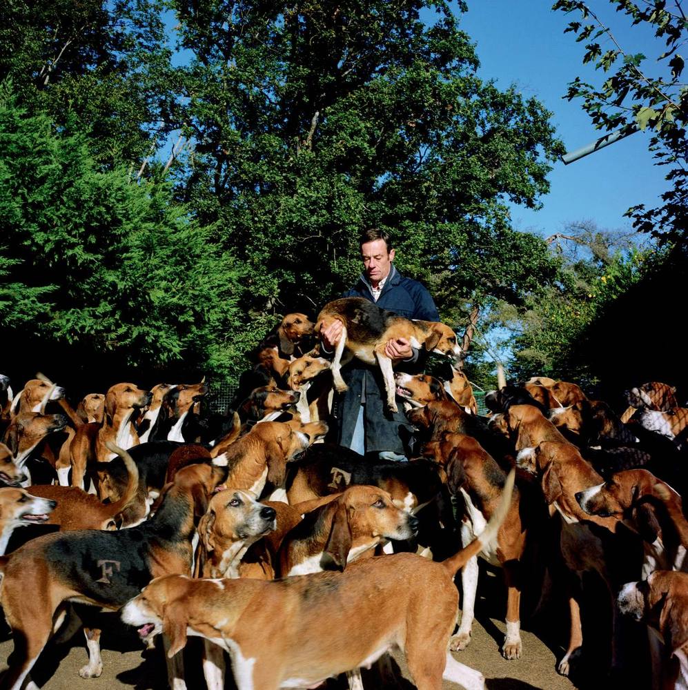 Chasse à courre