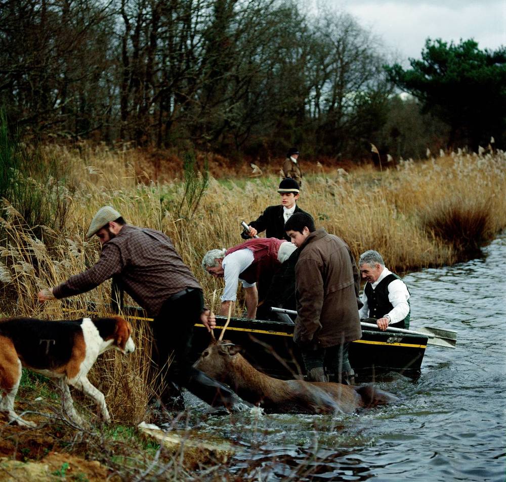 Chasse à courre