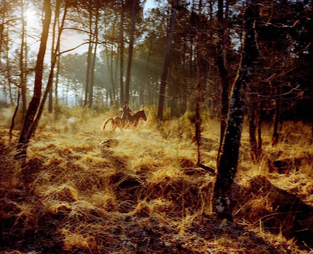 Chasse à courre
