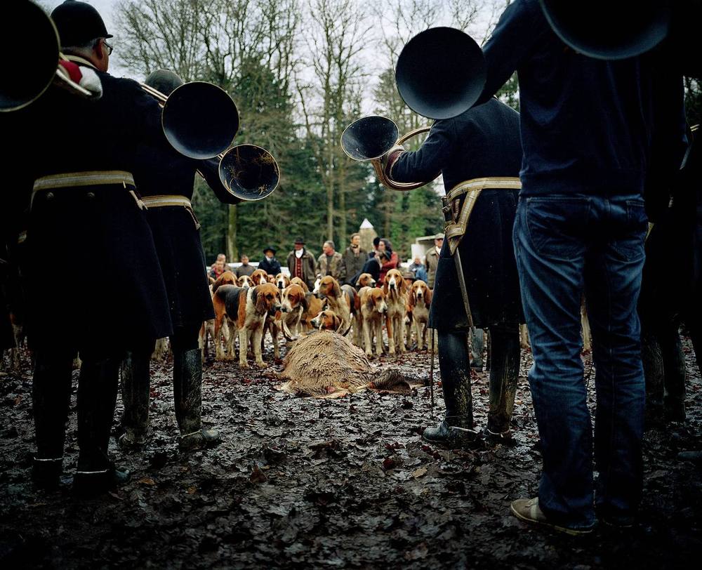 Chasse à courre