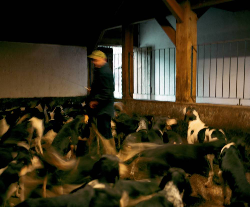 Chasse à courre