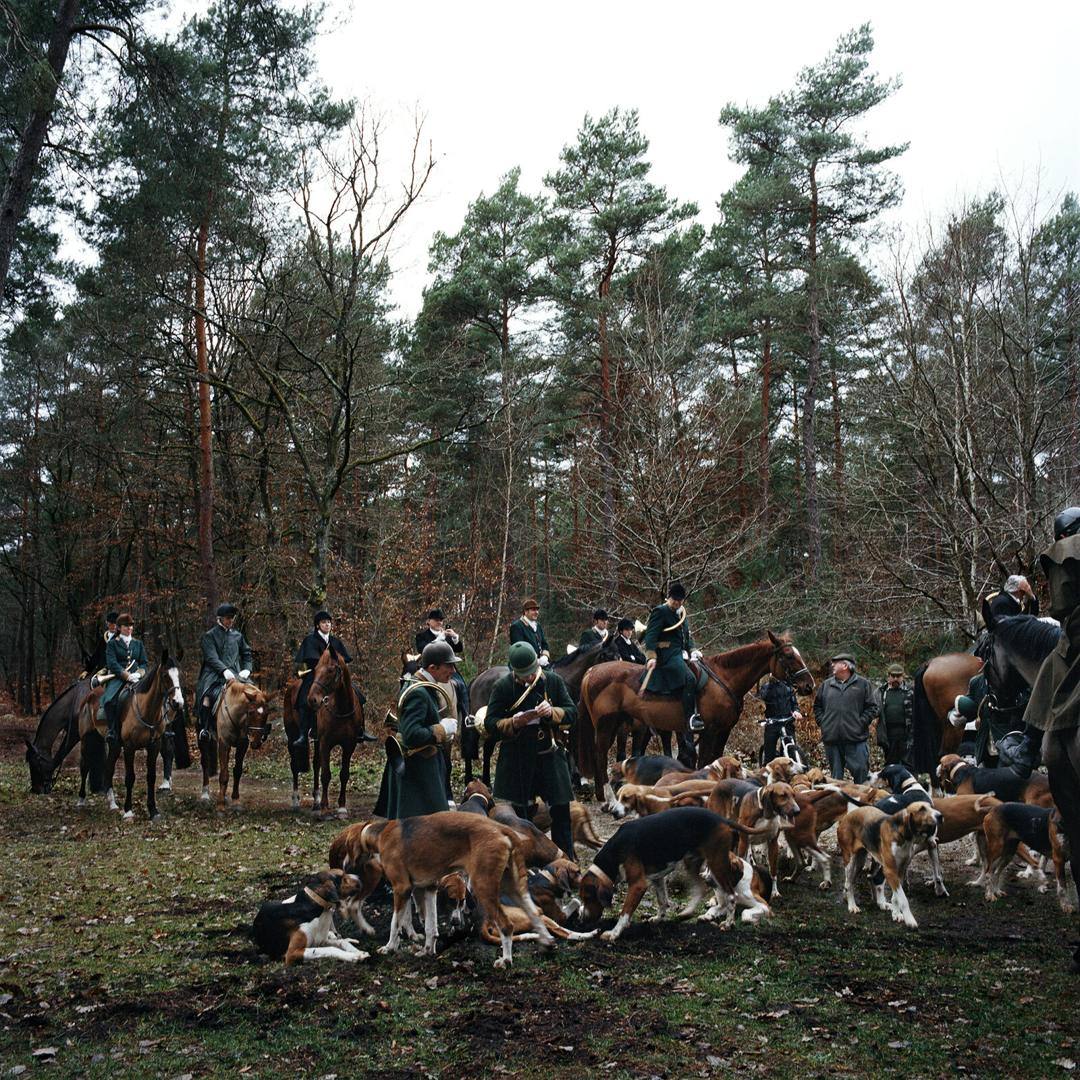 Chasse à courre