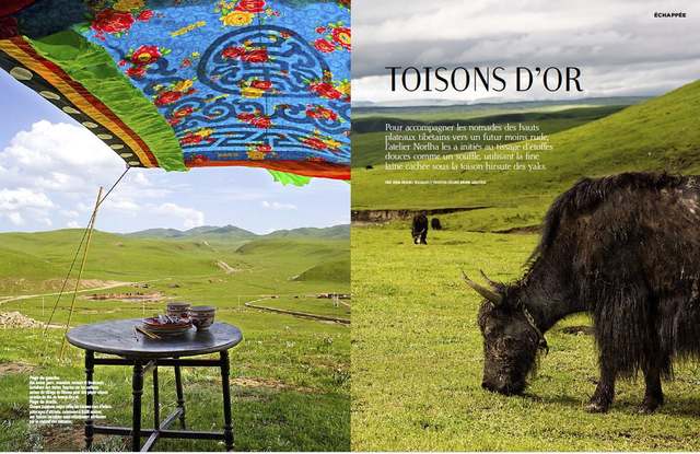 Parution, « Toisons d’or », texte Jean-Pascal Billaud